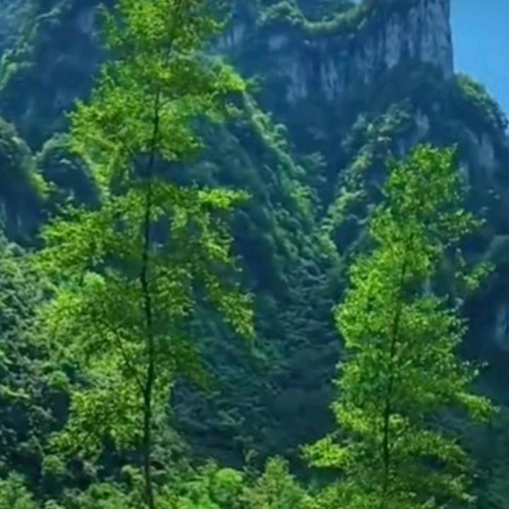 周先生: