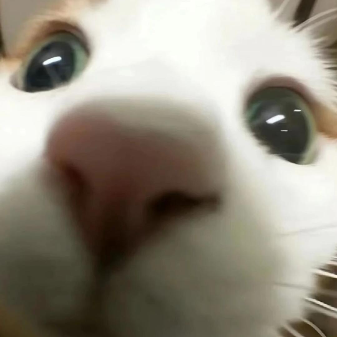 ✨阿玉✨