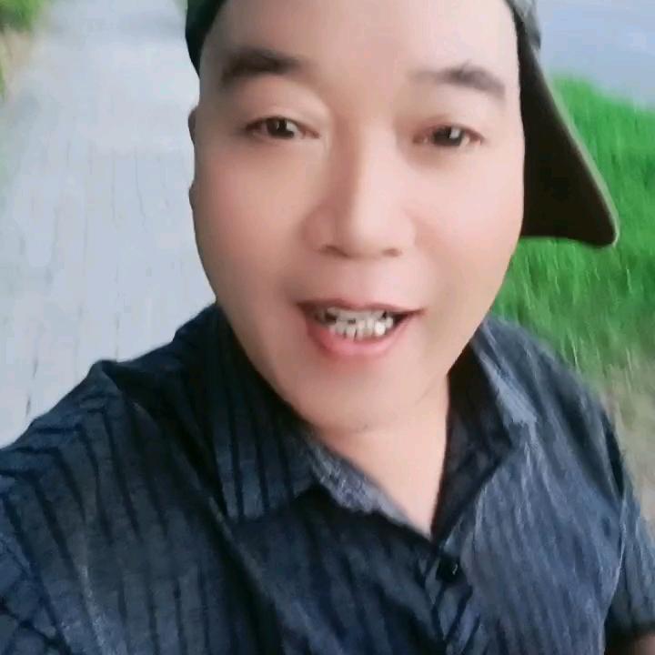 谈笑风生