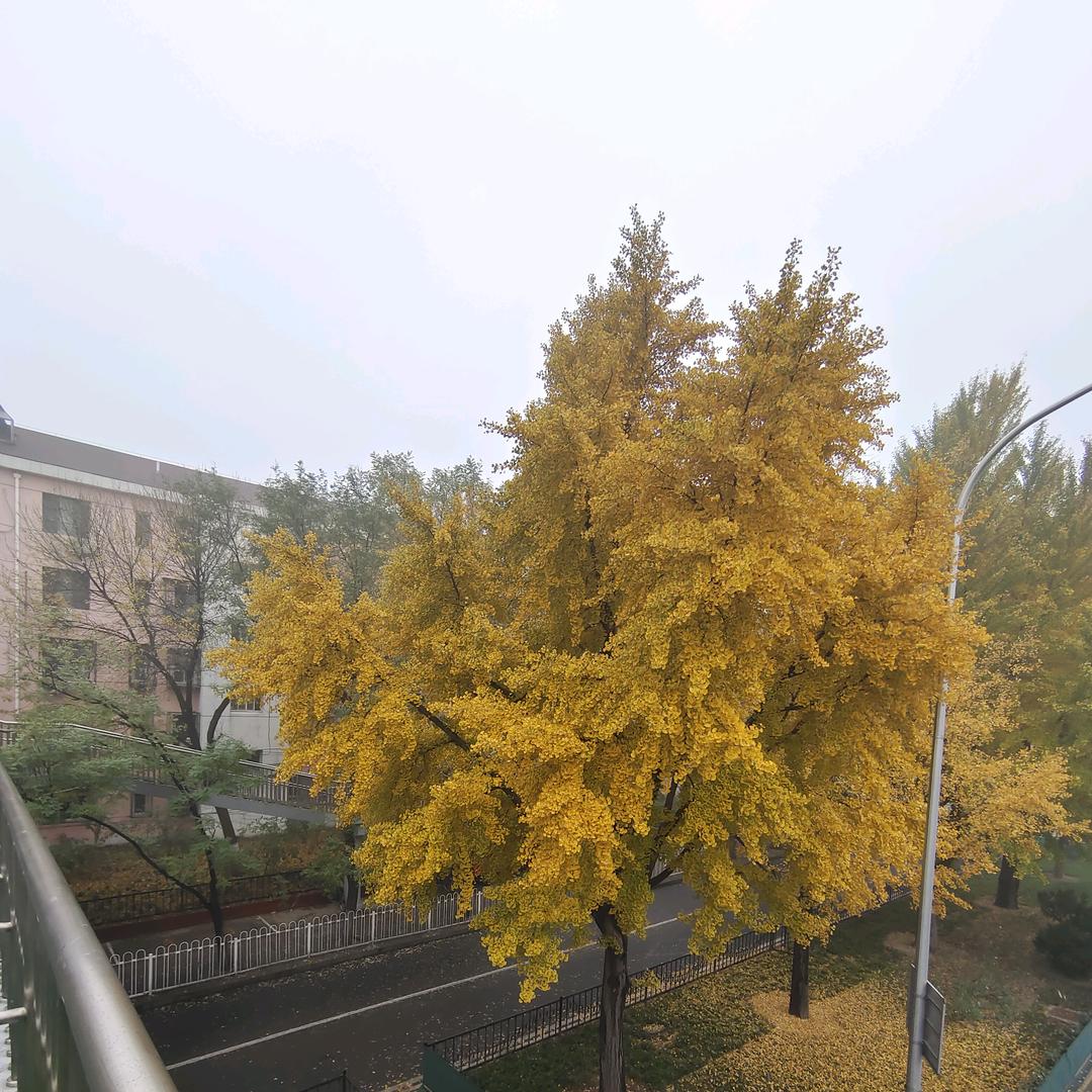 刘汉，对口型，