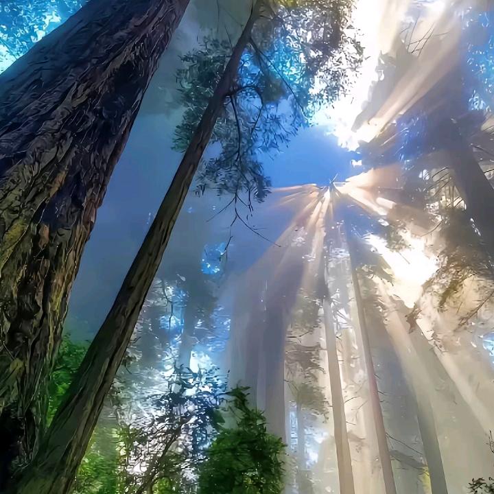 修改