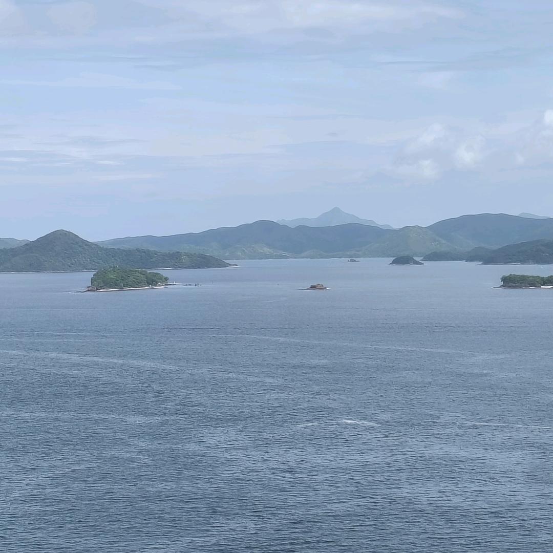 醉卧江湖