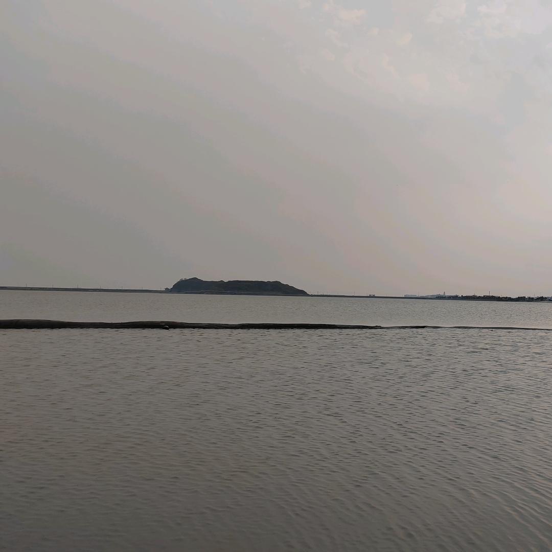 大西北小龙哥