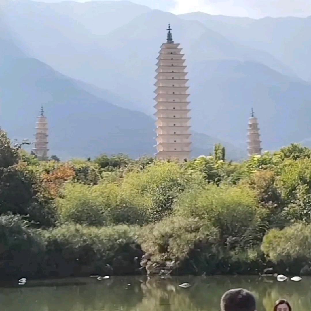 沙漠变绿洲🍀