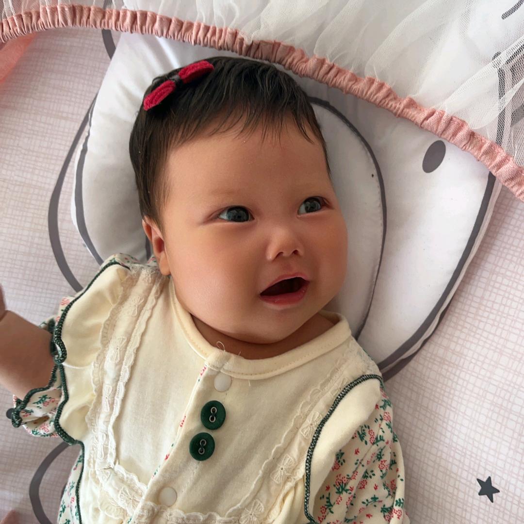 哥安纲