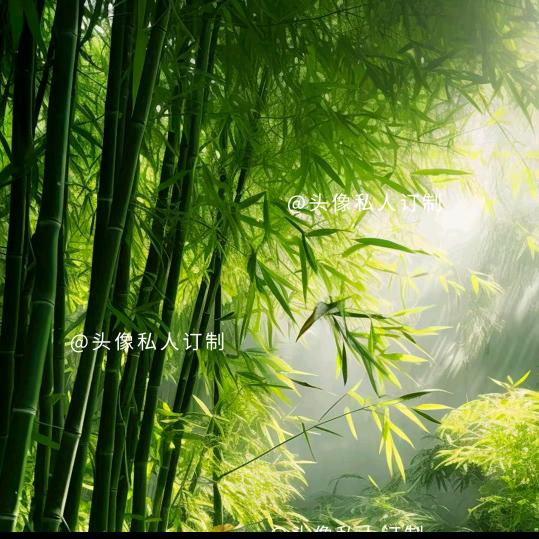 一路长虹