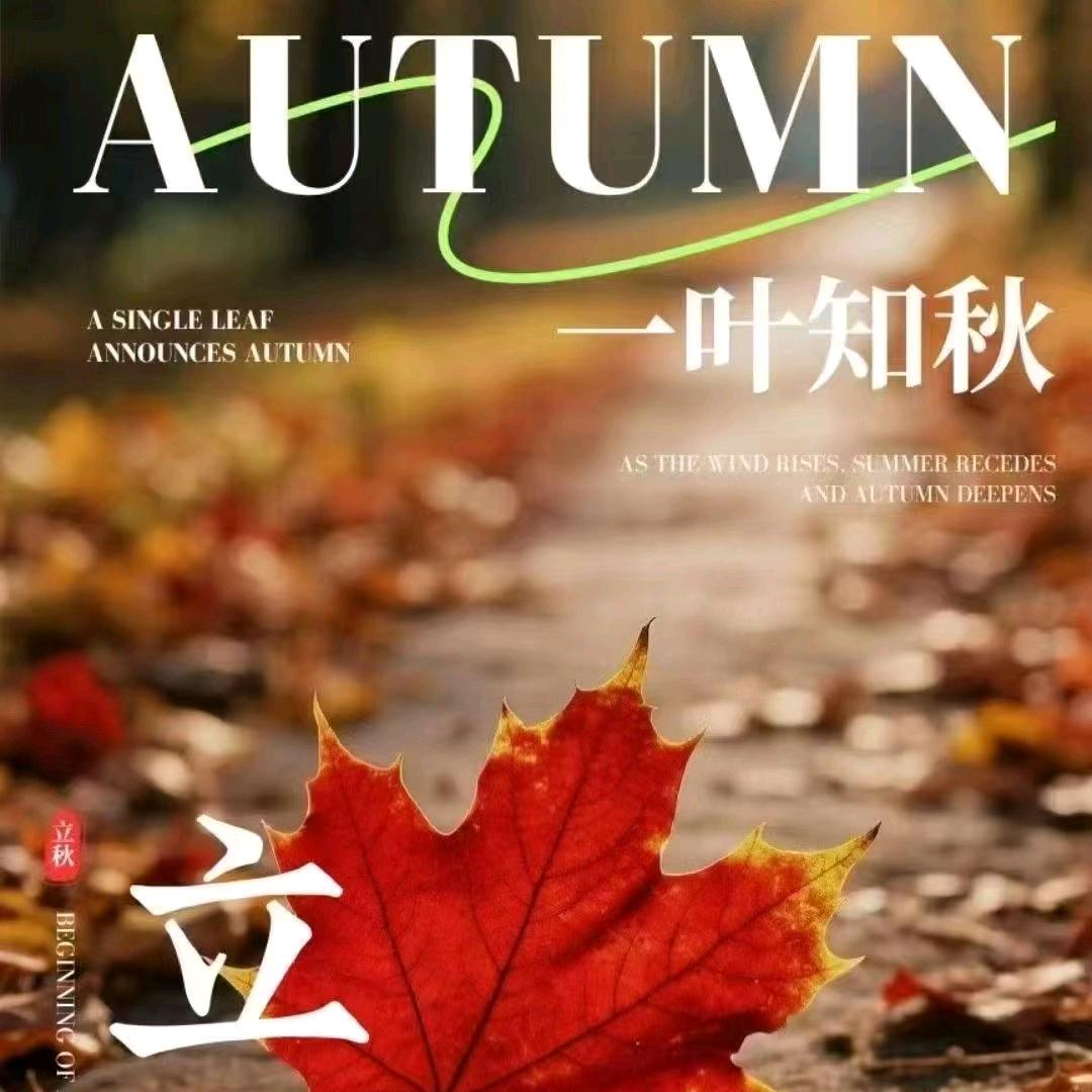 @大大小小（小飞）