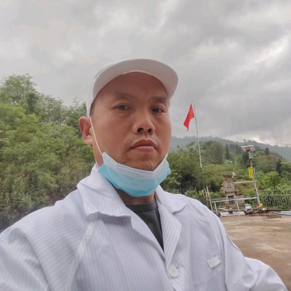 重庆.垮山挂面