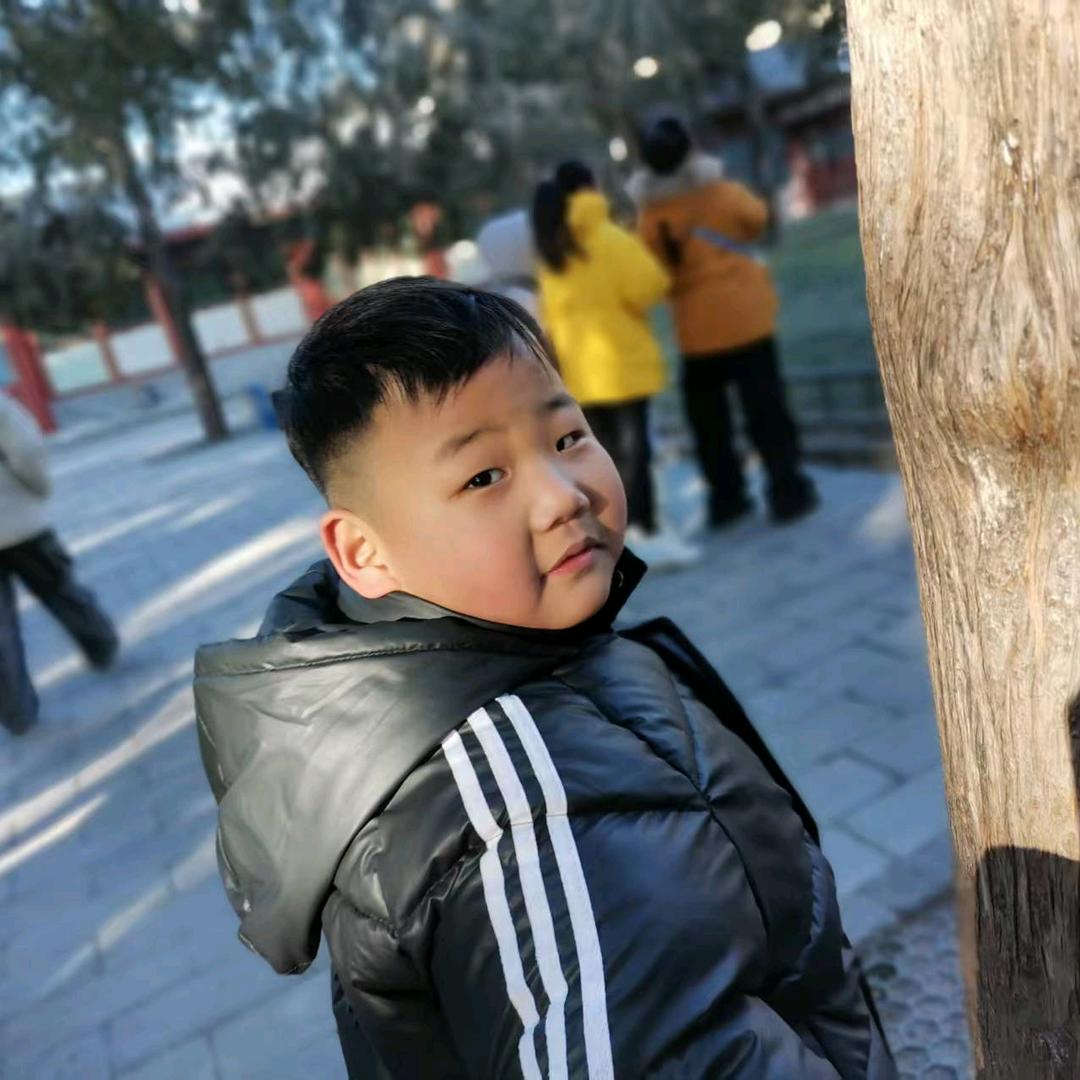 磊