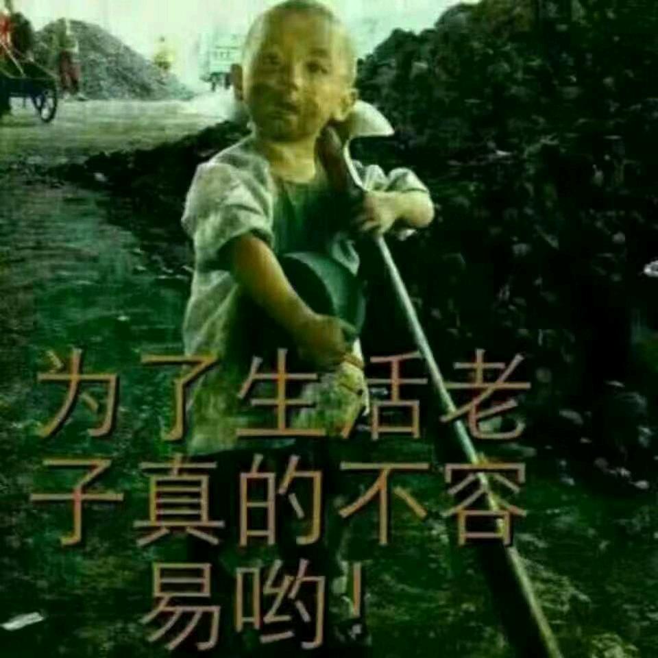 只管今天从不管明天