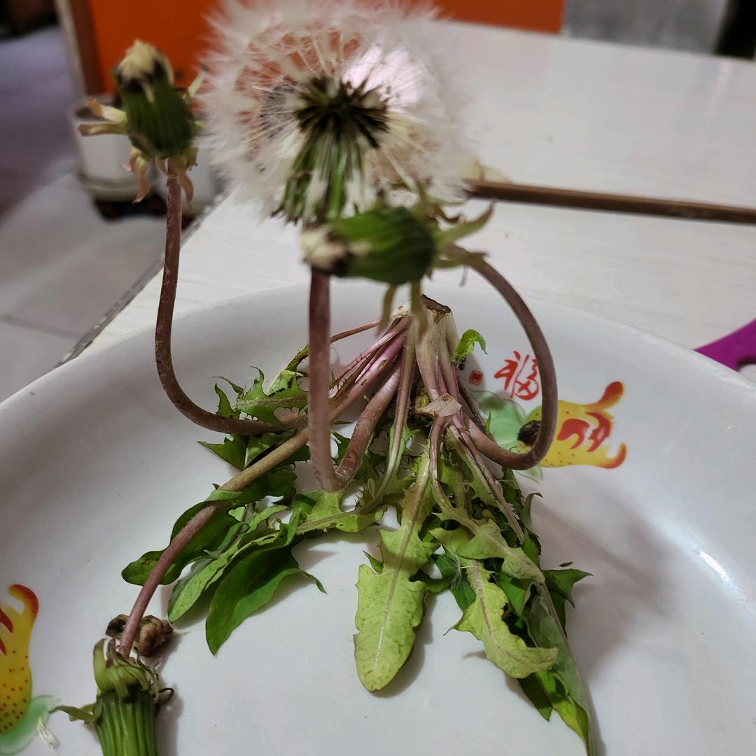 多情的你
