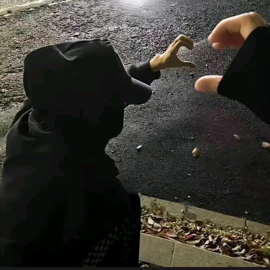 寺庙里求失望少