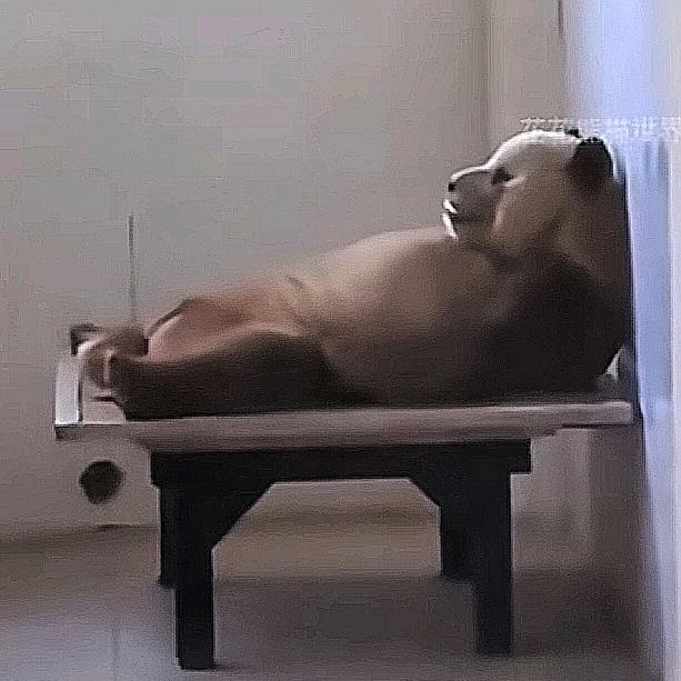 修