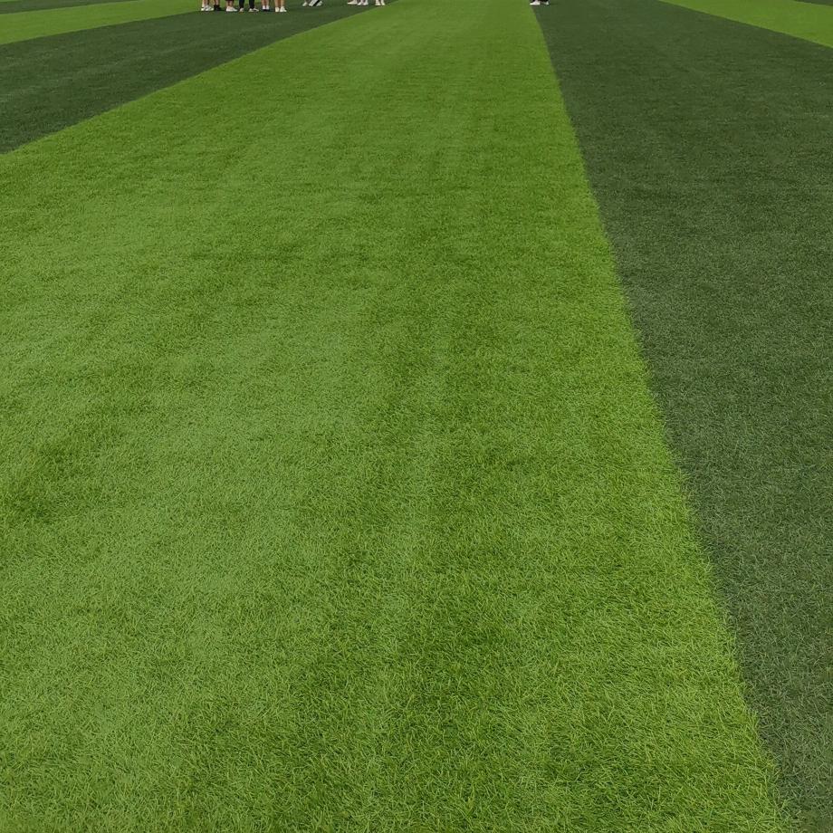 旧梦（接代陪）