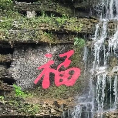 李掌柜