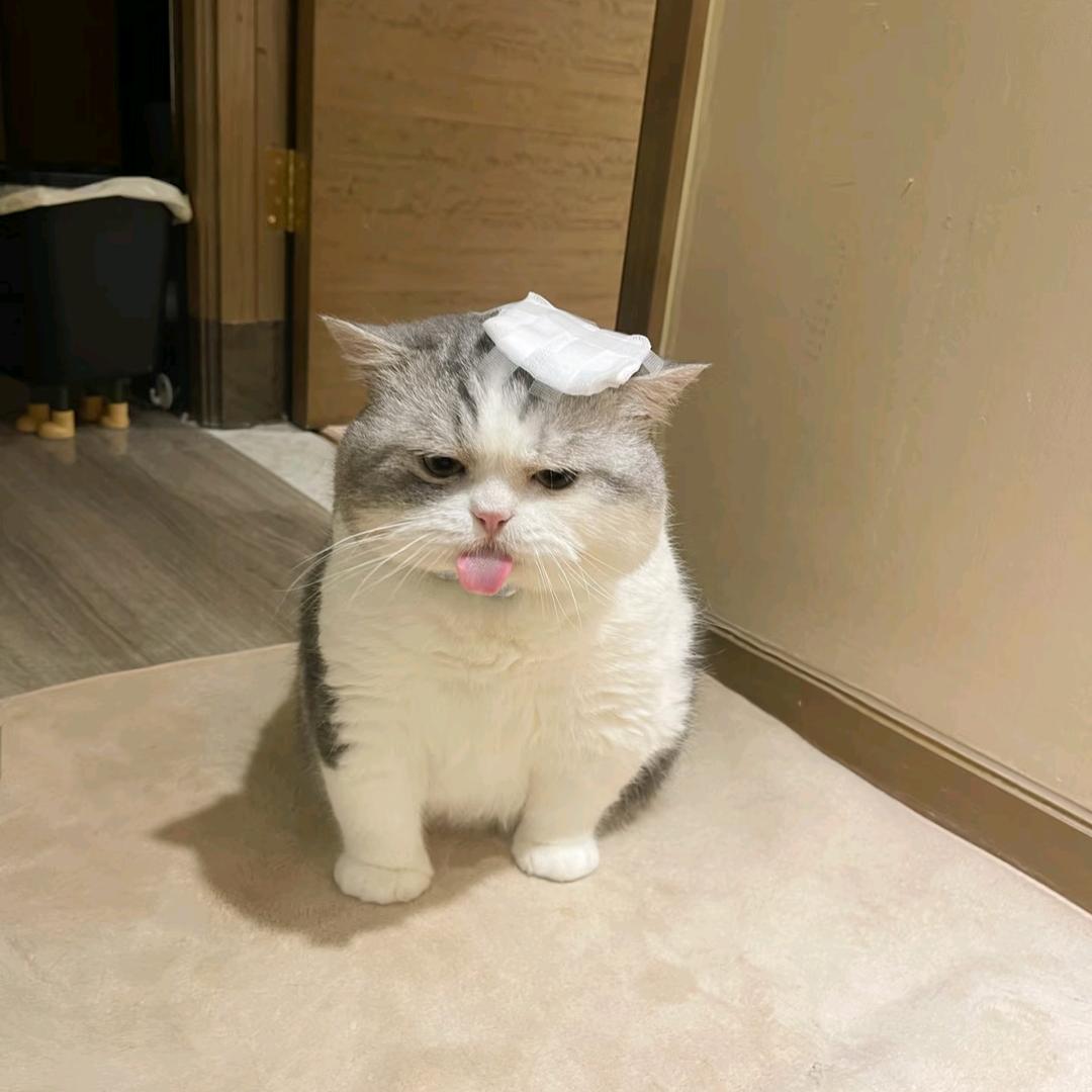 漾白