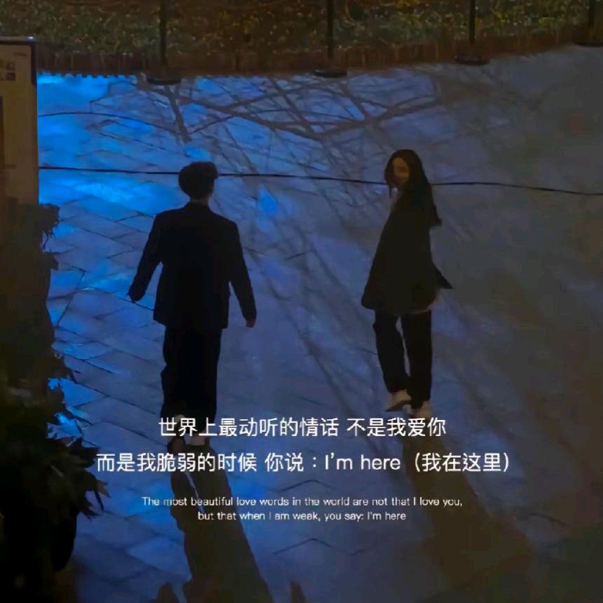 你的小张🖤