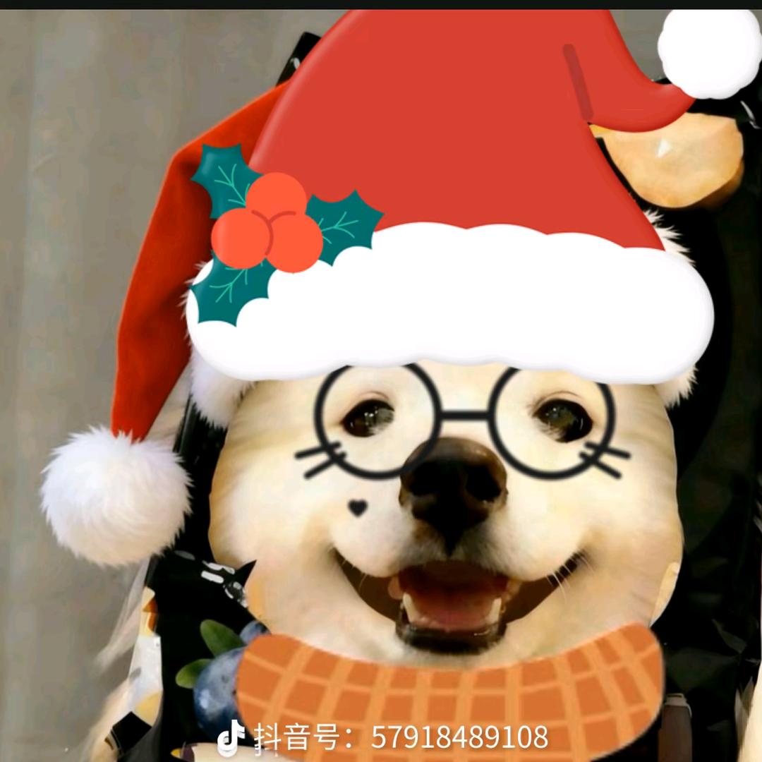 瞅啥，我的名字很好看吗