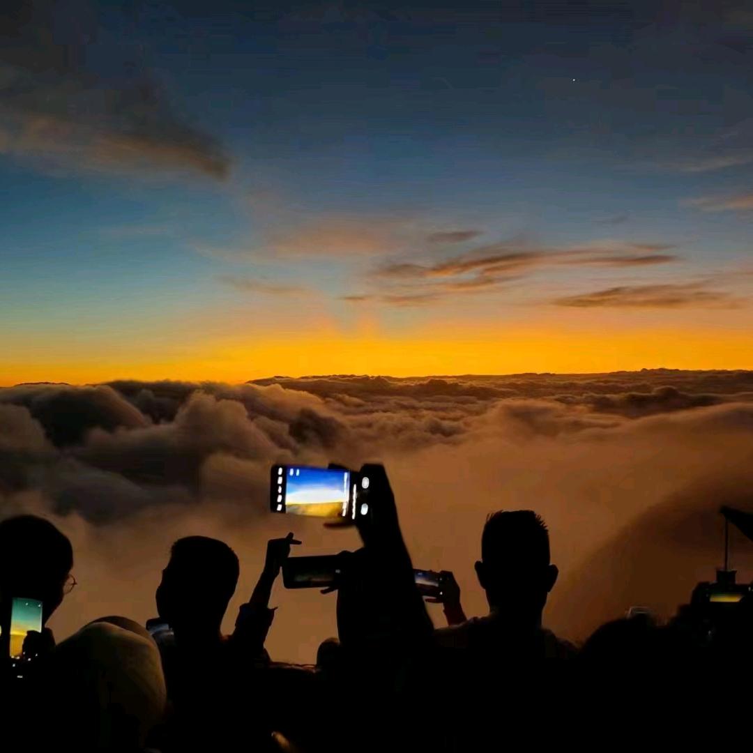 一条小白鲨❤️