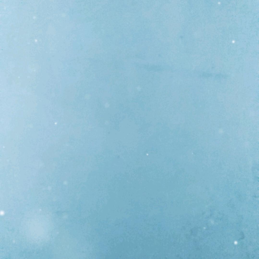 买