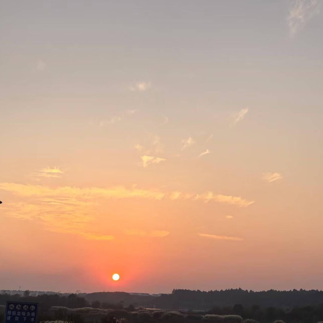 夕阳下的你