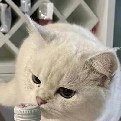 点点（三角洲行动）