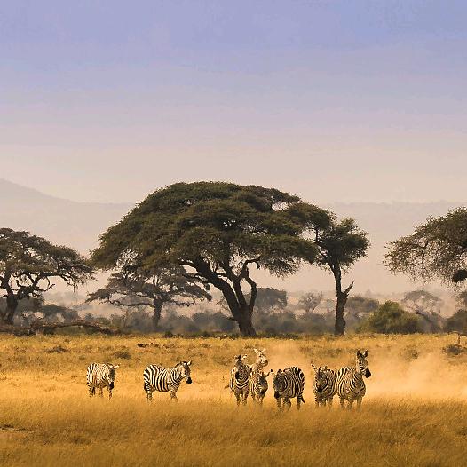 阳光总在风雨后，