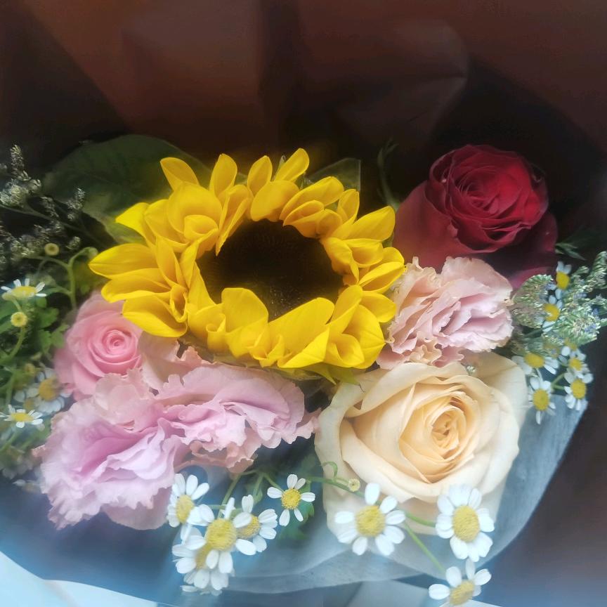 💕晨阳💞