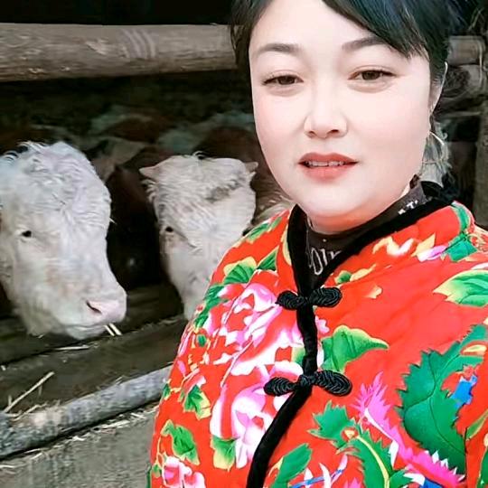 养牛妹58585