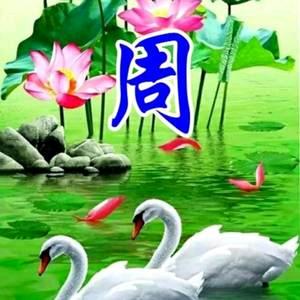 修车工周哥8138192313712单身