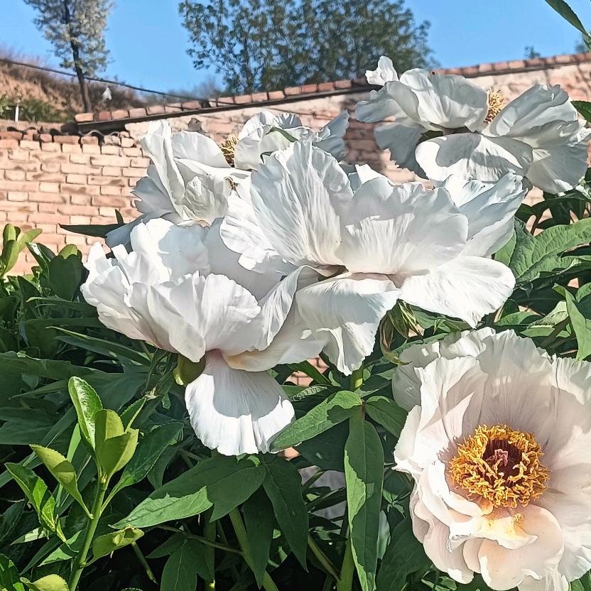 你若安好，我便心安