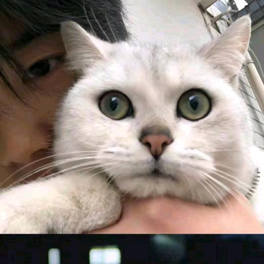 亮哥