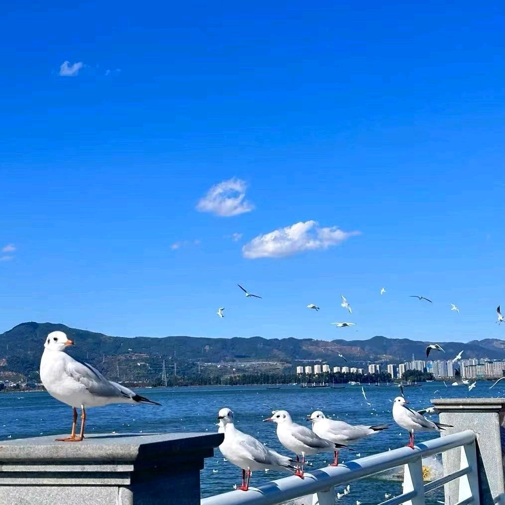 生活不是梦