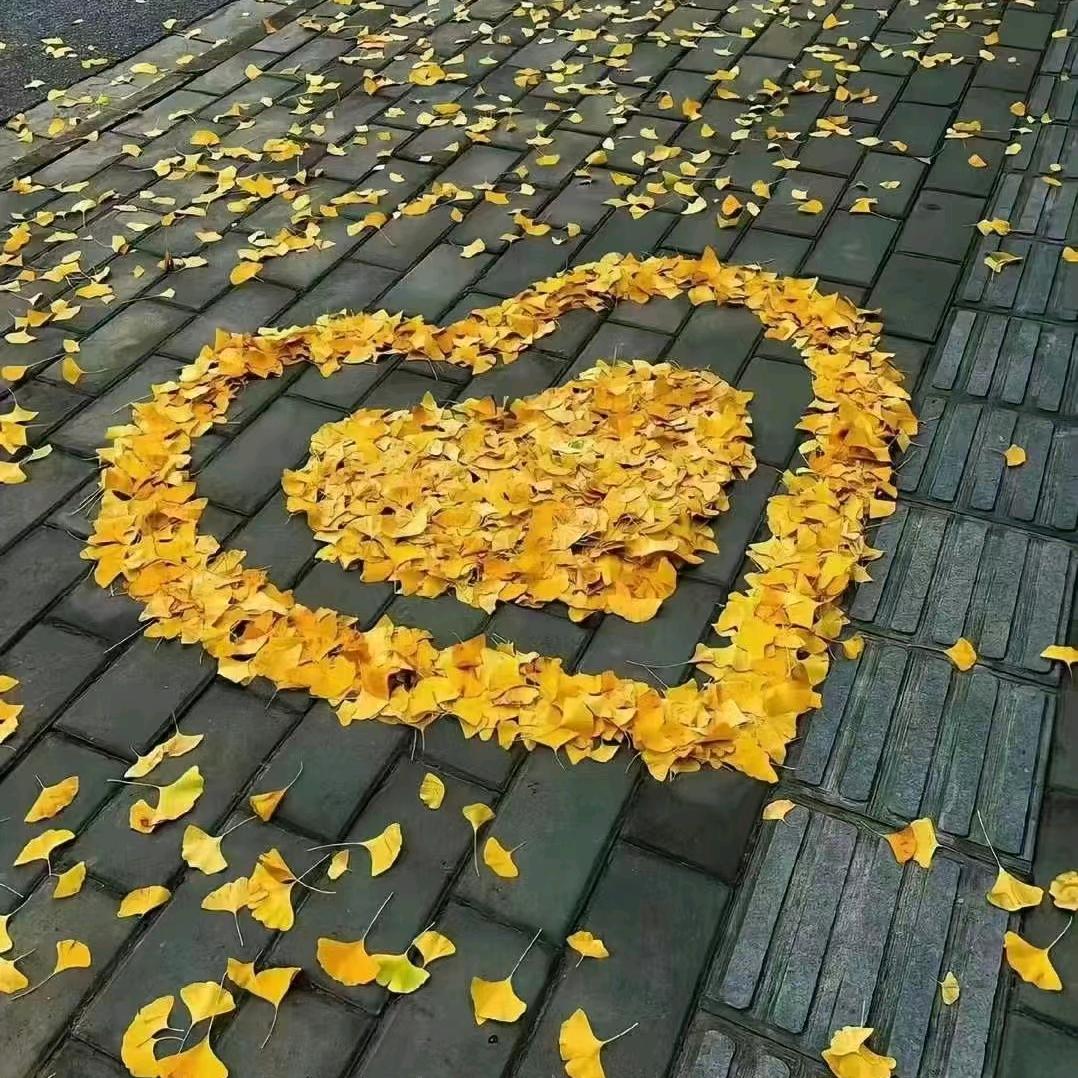 🍒云畔雾隐花🍒❣️