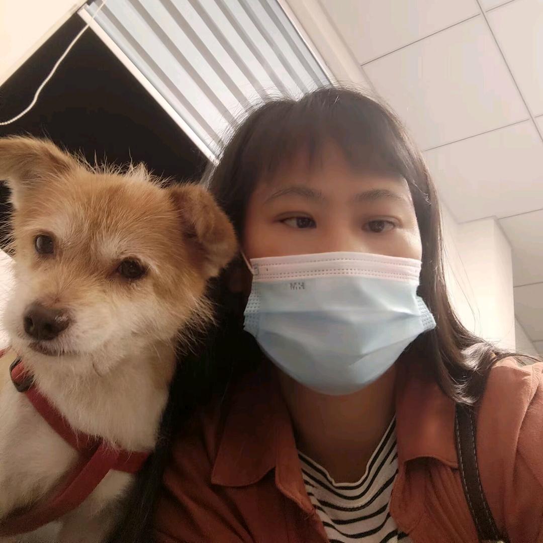 头像不是我家喵