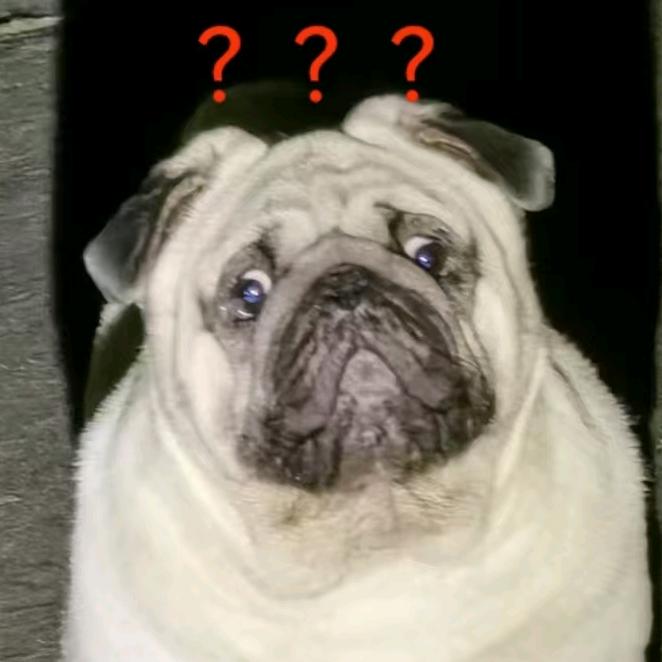 卖超纤革的茂茂