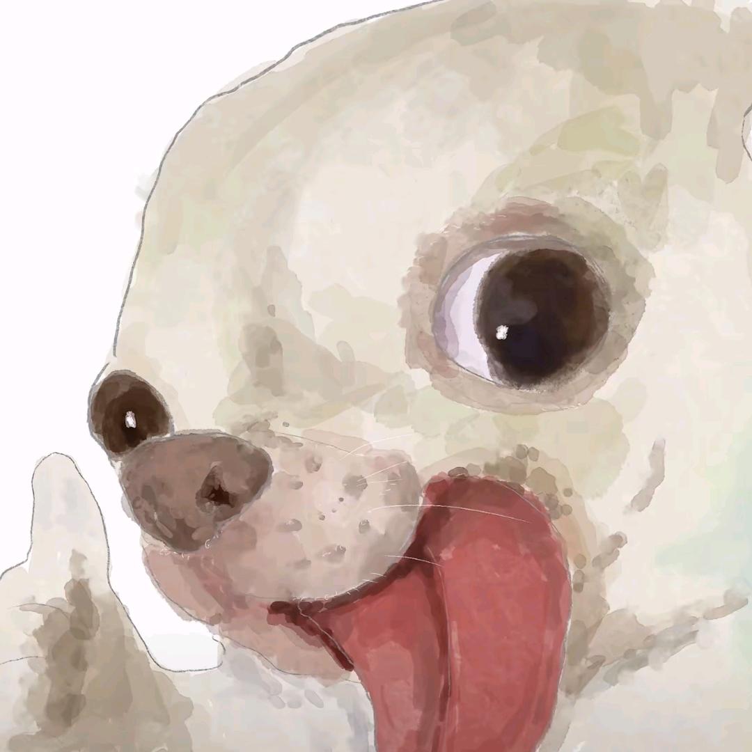 [典狱长]鸽盒螺丝