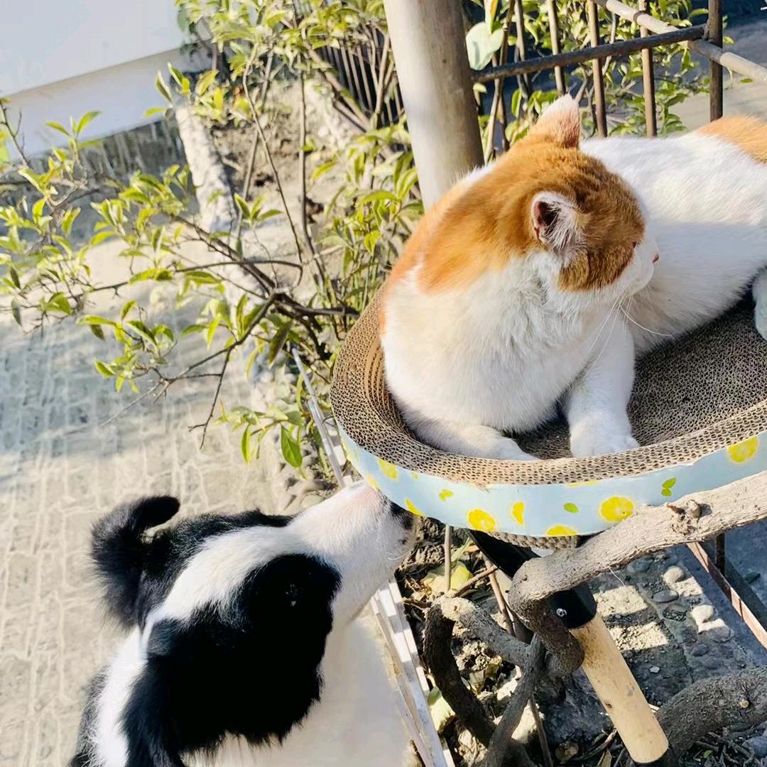 南充商务KTV  阿文