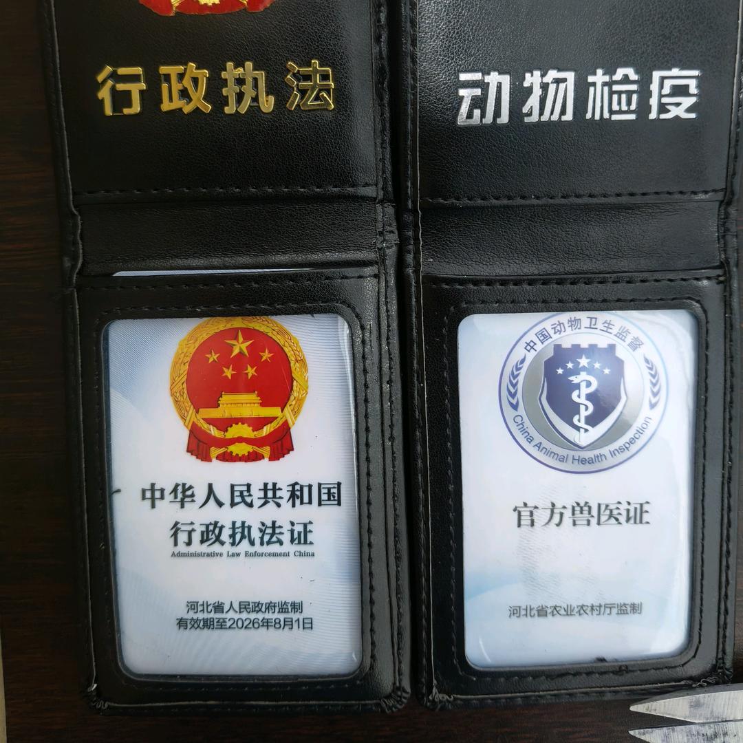 兽医（郜迎博）