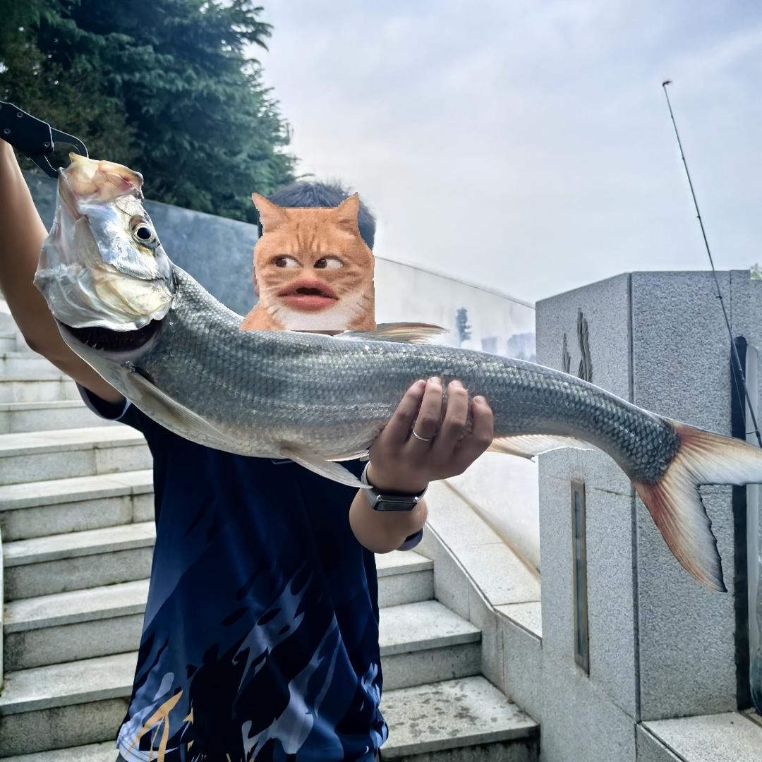 鱼羽屿路亚