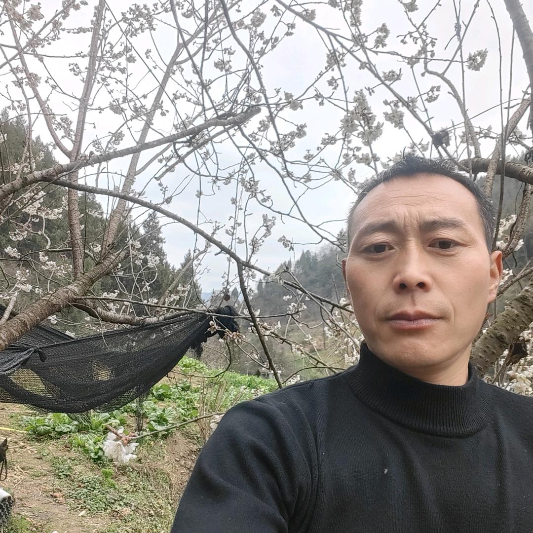 亮哥