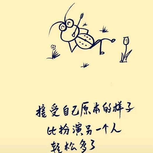 追  风  .