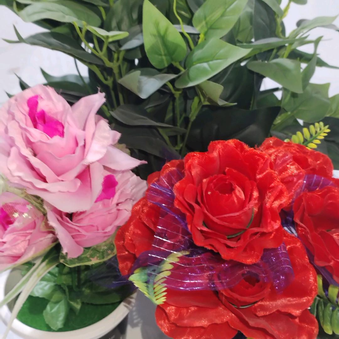 忘记过去，从头再来