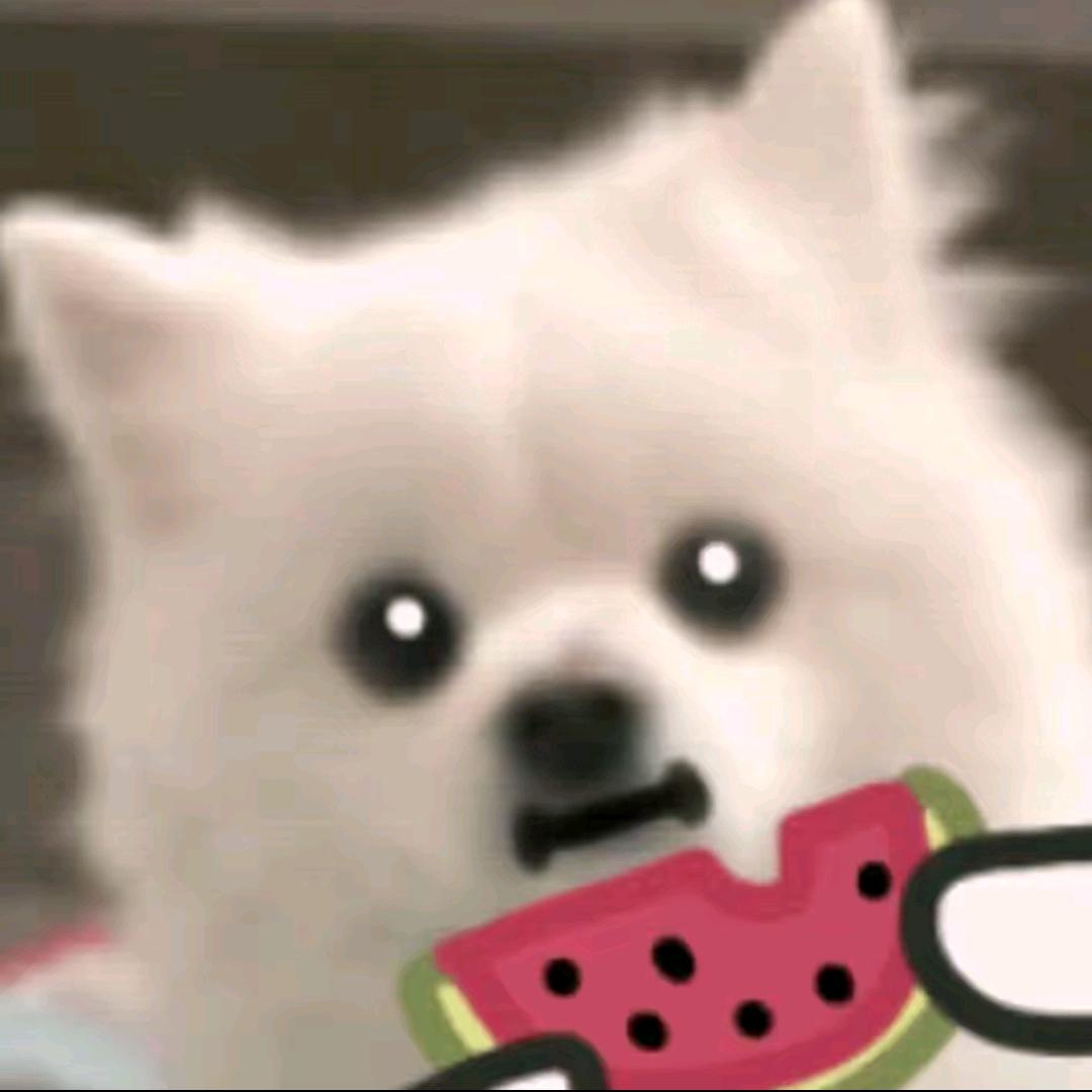 梦求真（三角洲行动）