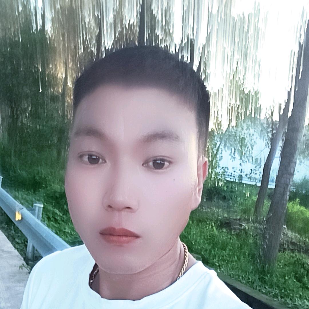 龙