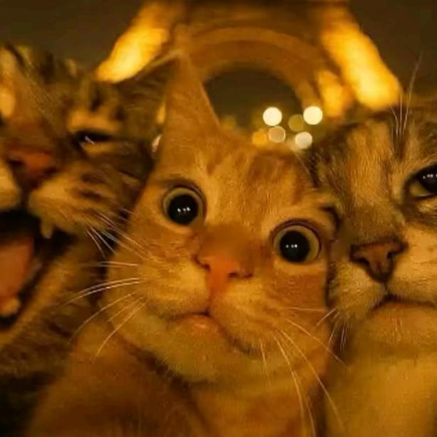 32岁娇羞狒狒偷穿邻居丝袜被抓后死性不改