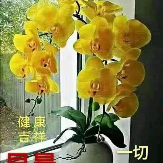 一身正气
