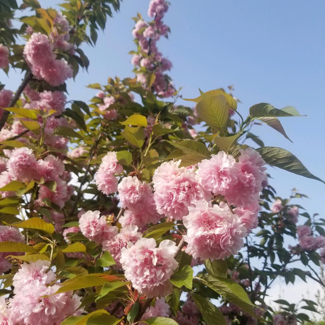 繁星点点