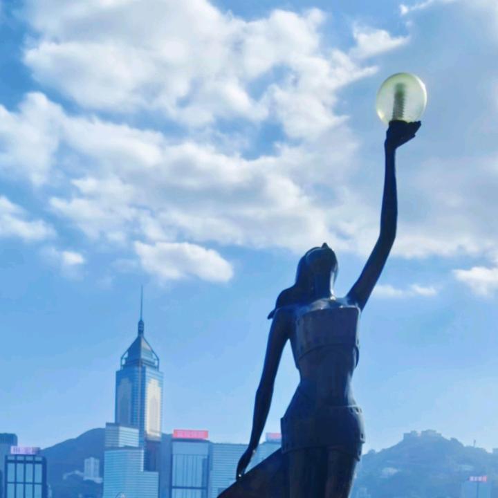 梦情