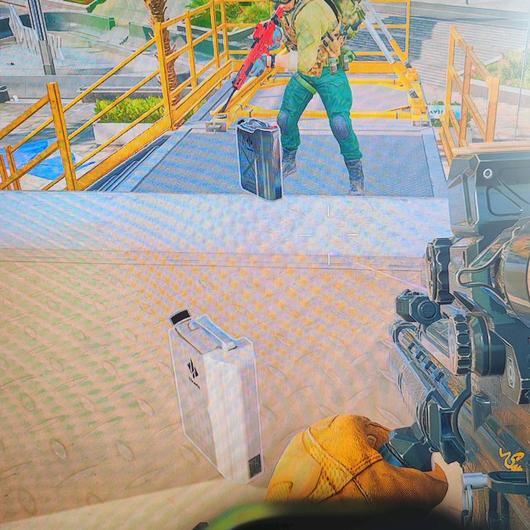 杨小（三角洲行动）